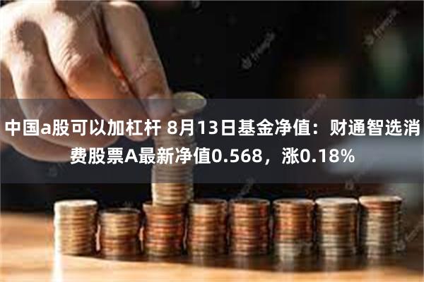 中国a股可以加杠杆 8月13日基金净值：财通智选消费股票A最新净值0.568，涨0.18%