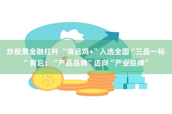 炒股票金融杠杆 “清远鸡+”入选全国“三品一标”背后：“产品品牌”迈向“产业品牌”